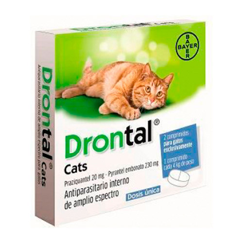 Drontal-gato.jpg