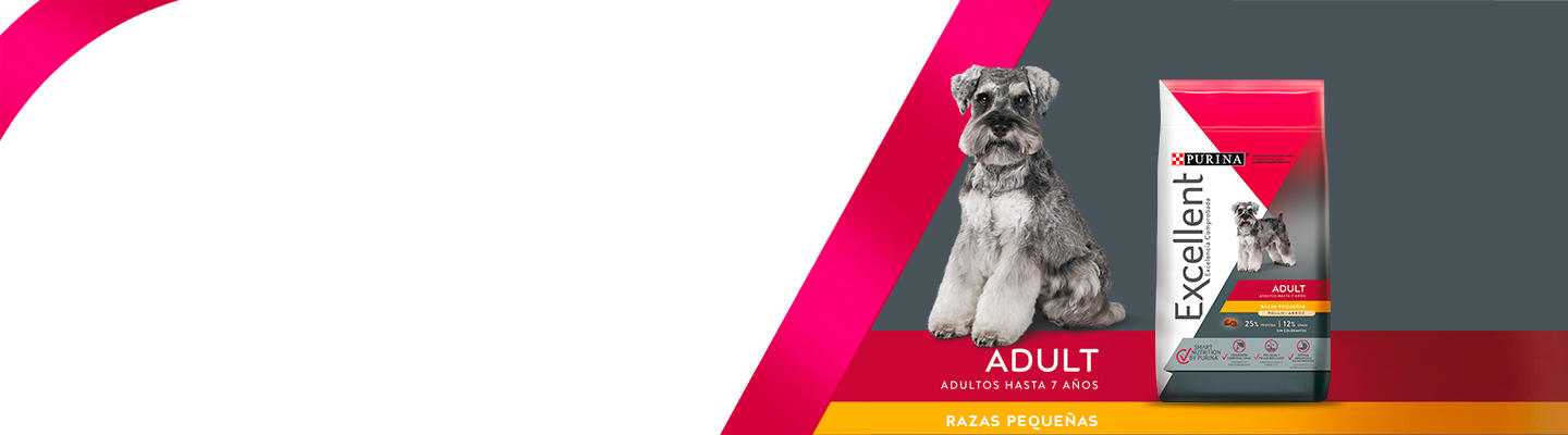 Purina®-Excellent®-Banner-Adulto-Pollo-y-Arroz-Razas-Minis-y-Pequenas-.jpg