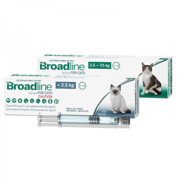 broadline-gato.png